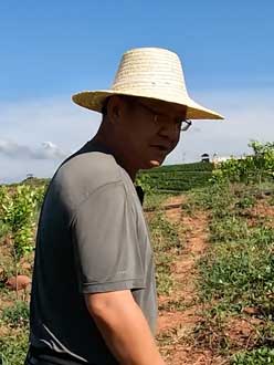 农业人叶涛，50多岁通讯人跨界搞农业，他要用1000万打造一个梦。